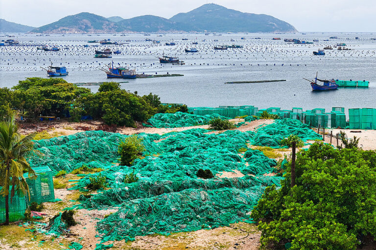 Lồng nuôi tôm hùm ở bãi biển thôn Bình Lập, xã Nam Cam Ranh. Ảnh: Nguyễn Thông