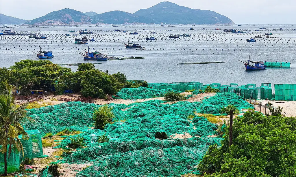 Bờ biển Cam Ranh gánh 45.000 lồng tôm hùm và núi rác nhựa